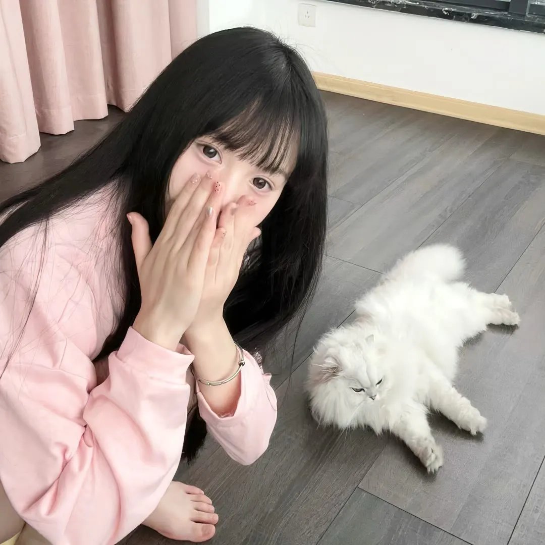 莫西干回到故乡